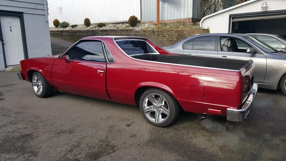All Season Window Tint