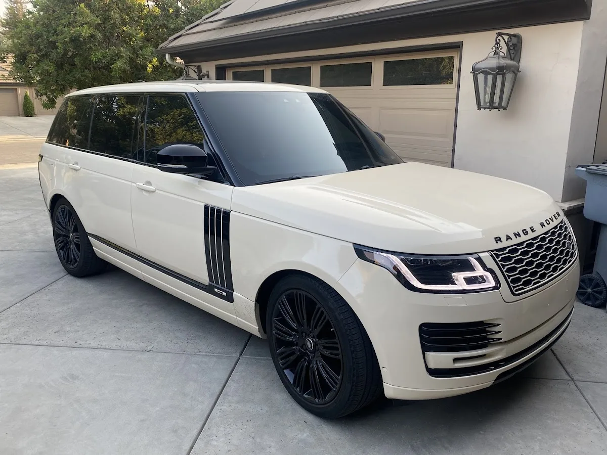 Archies Tint