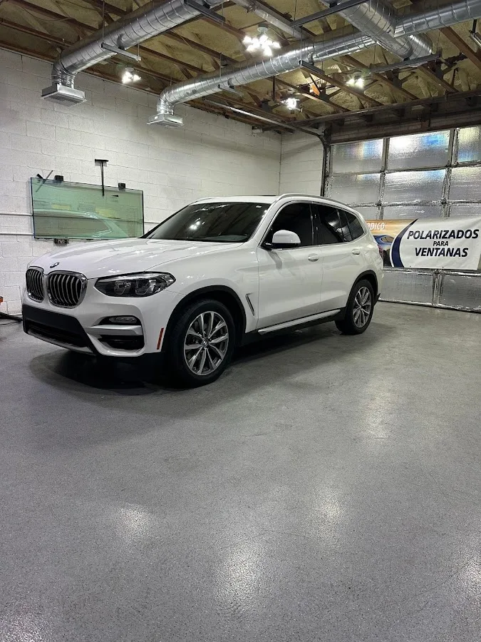 Precision Cut Window Tint