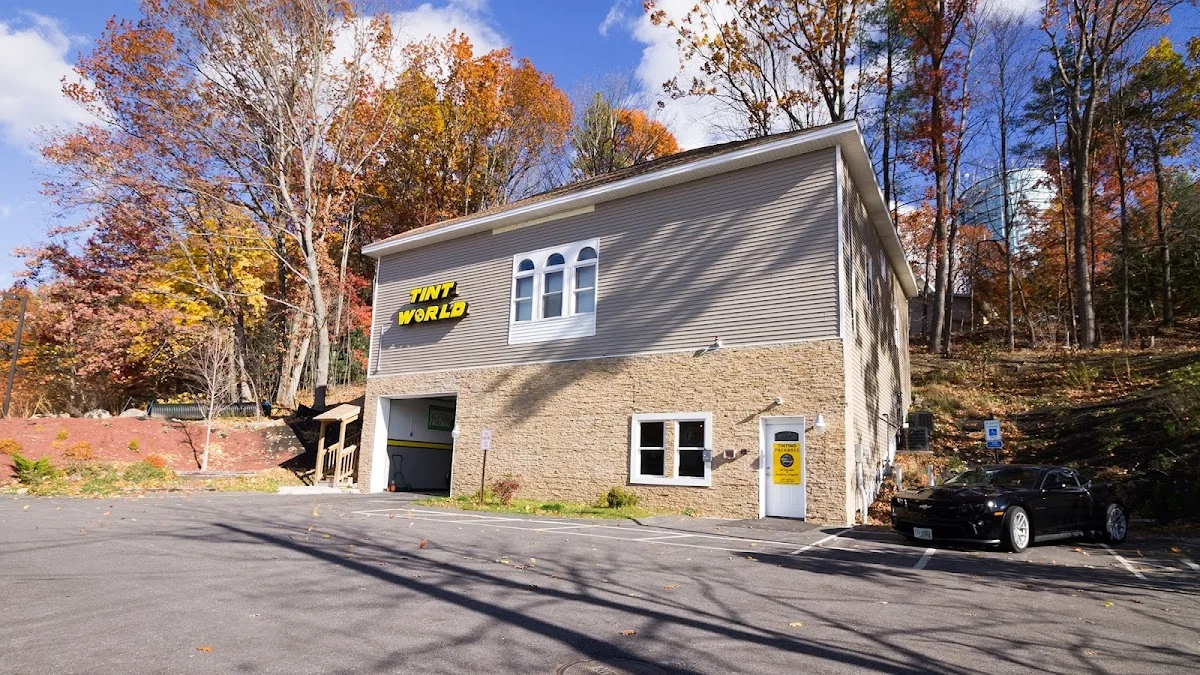 Tint World Salem: Match Computer-Cut Film to Your Vehicle’s Real Needs