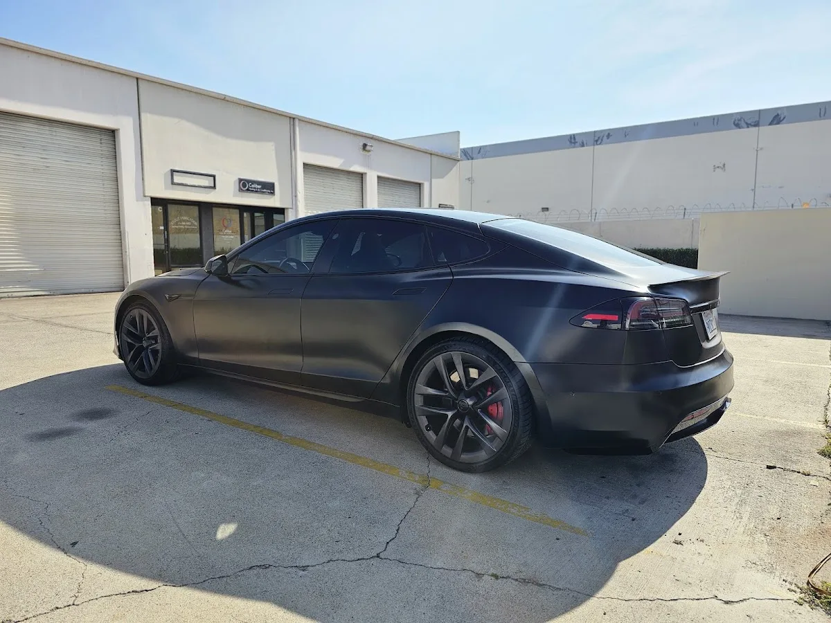 Tms tinting