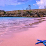 A Complete Guide to Exploring Pink Beach Lombok