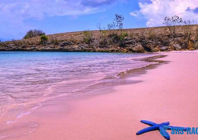 A Complete Guide to Exploring Pink Beach Lombok