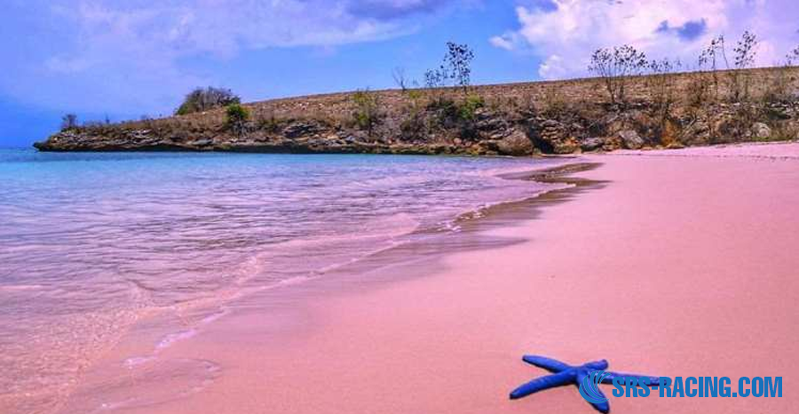 A Complete Guide to Exploring Pink Beach Lombok